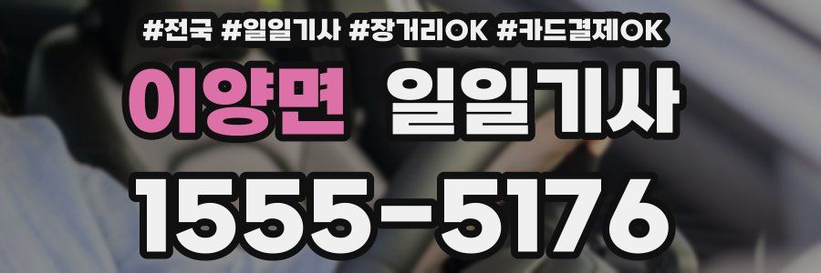 이양면 일일기사