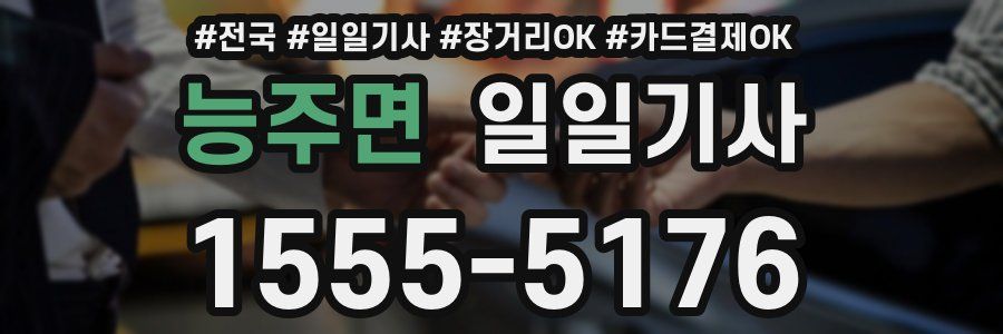 능주면 일일기사