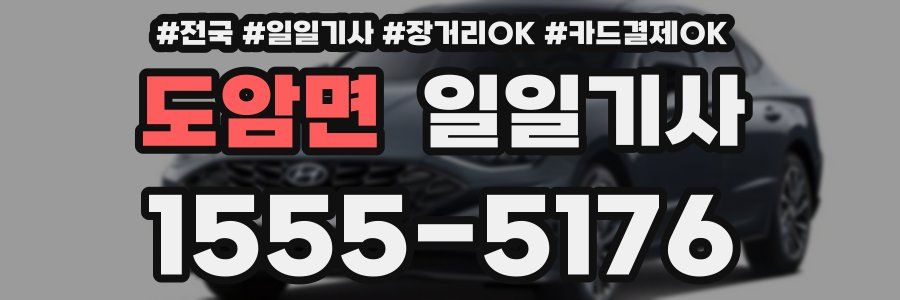 도암면 일일기사