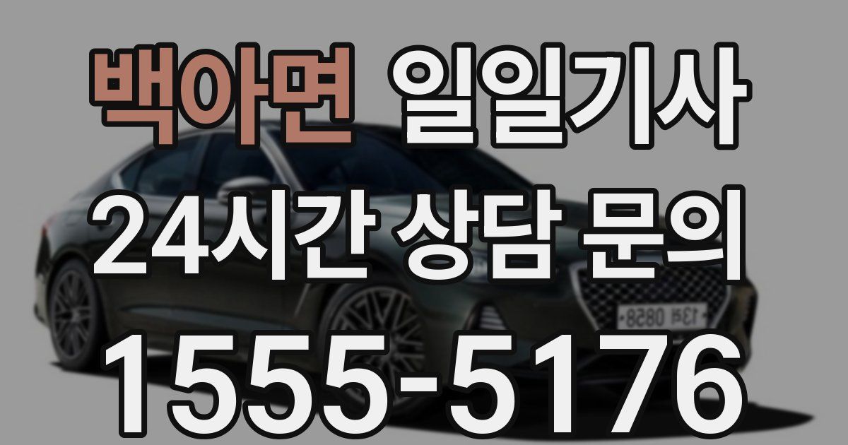 일일대리기사