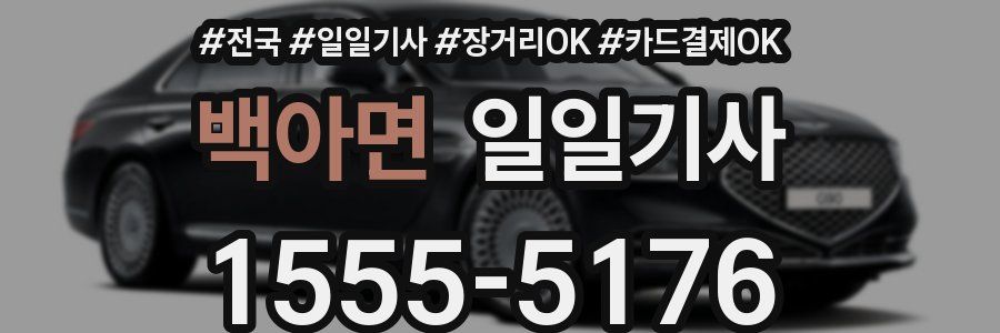 백아면 일일기사