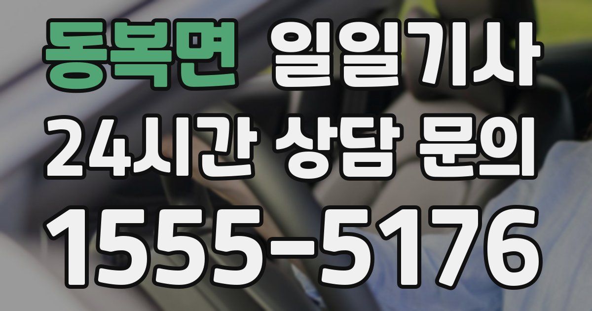 일일대리기사