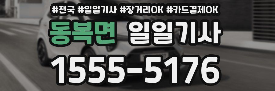 동복면 일일기사