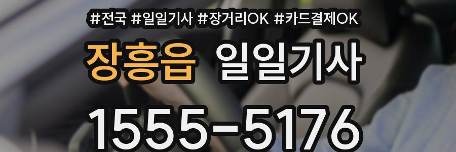 장흥읍 일일기사