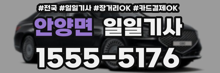 안양면 일일기사