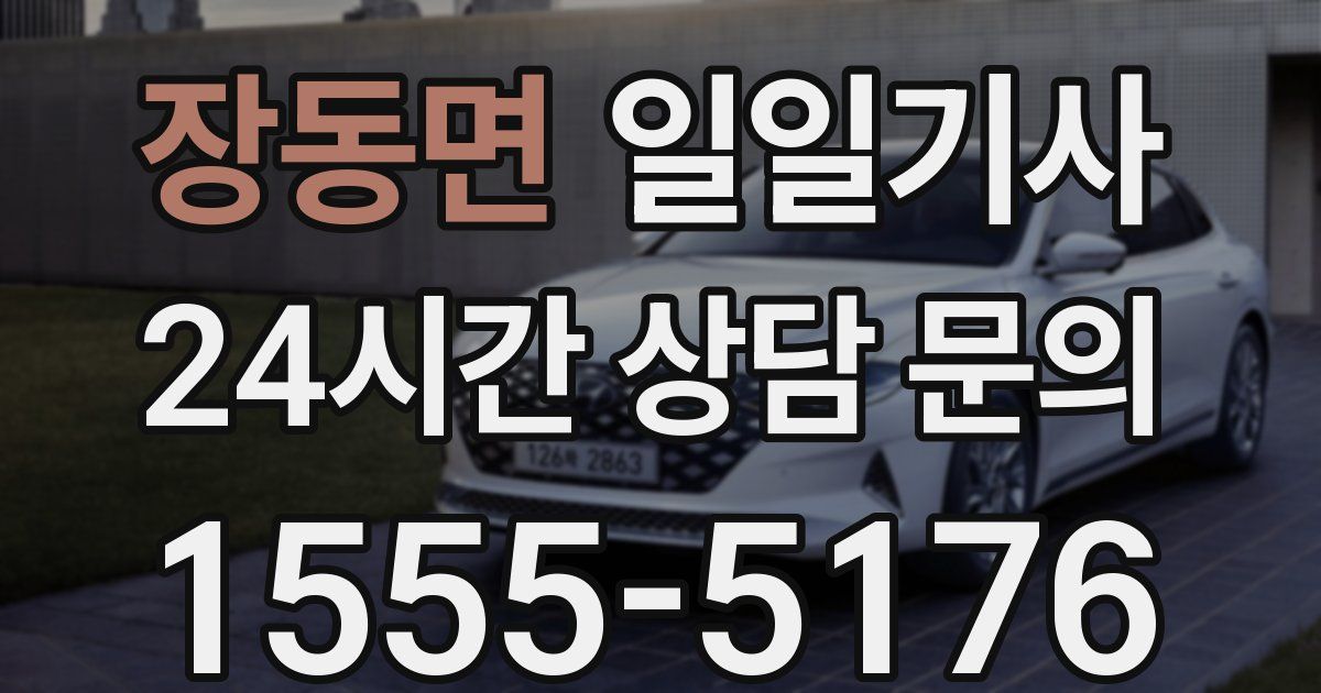 일일대리기사