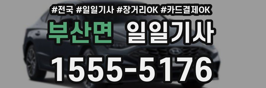부산면 일일기사