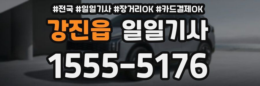 강진읍 일일기사