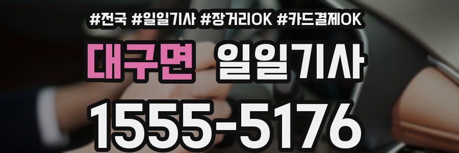 대구면 일일기사