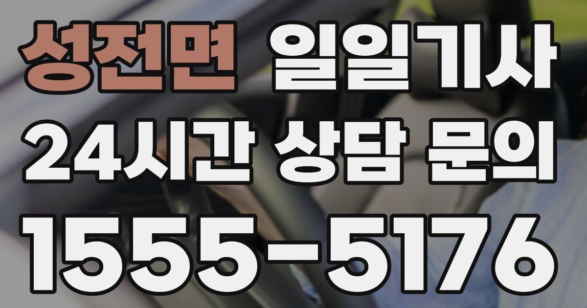 일일대리기사