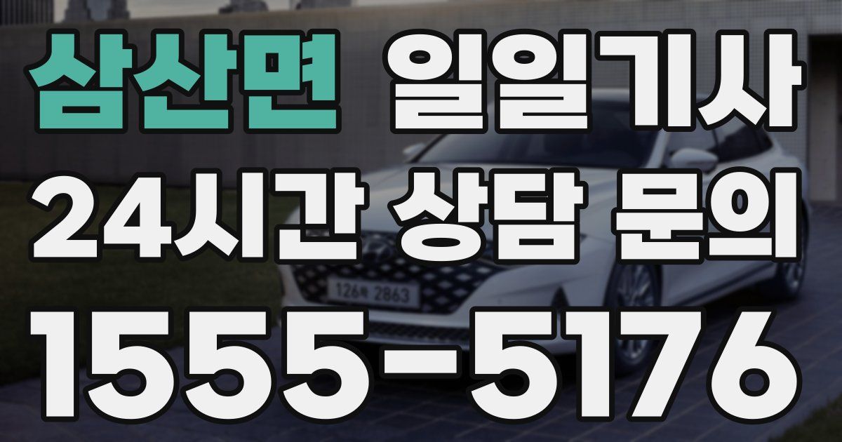 일일대리기사