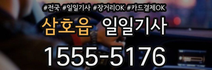 삼호읍 일일기사