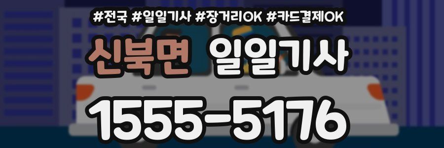 신북면 일일기사