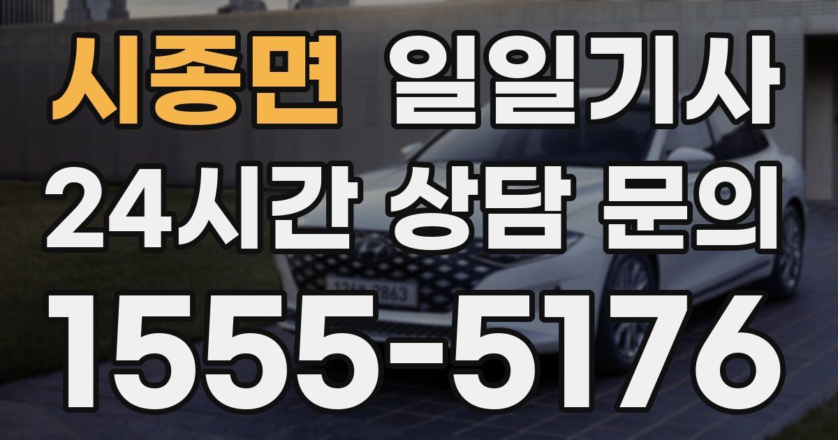 일일대리기사