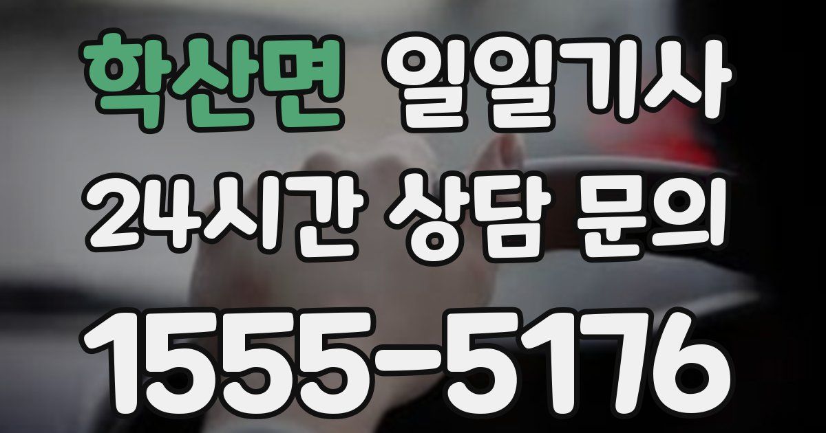 일일대리기사