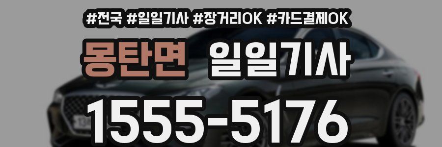 몽탄면 일일기사