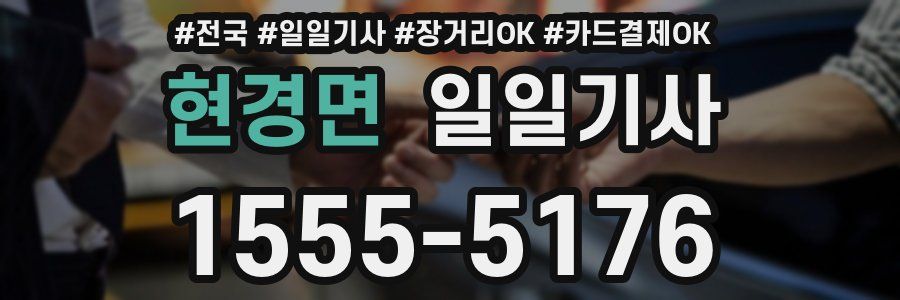 현경면 일일기사