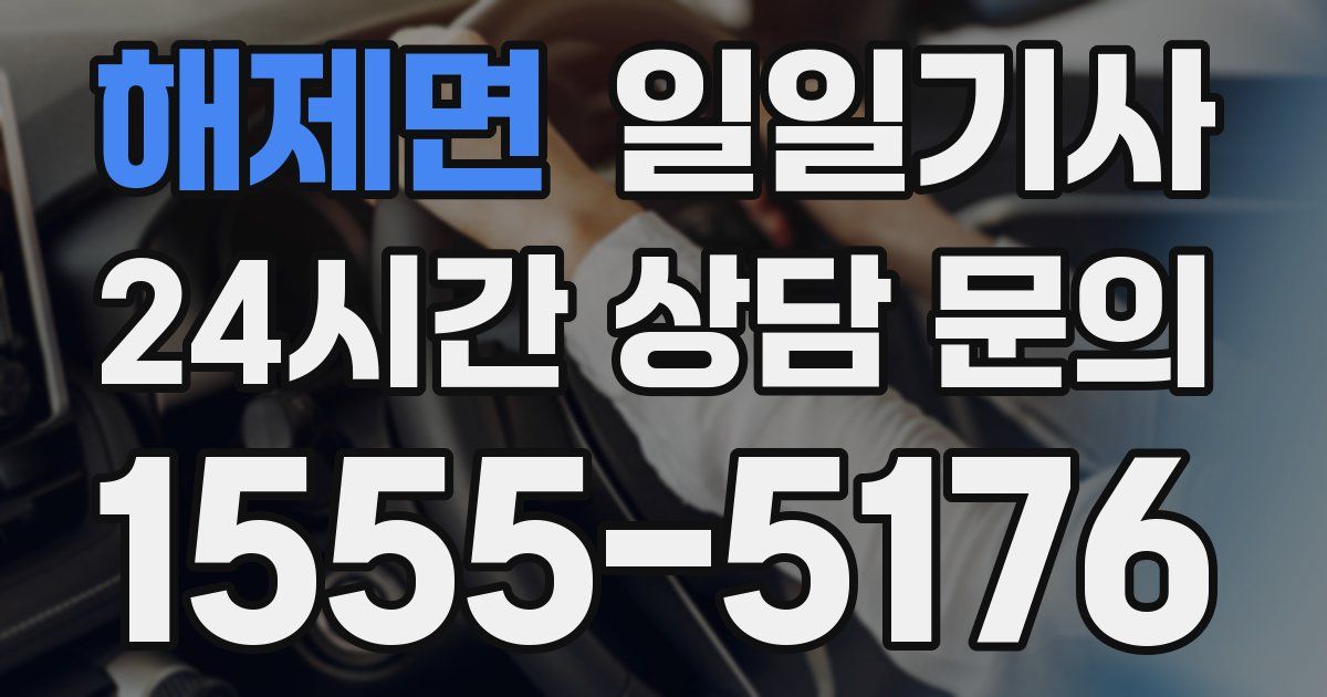 일일대리기사