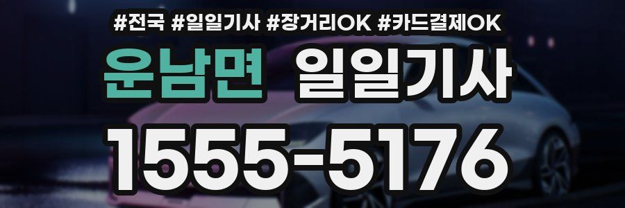 운남면 일일기사