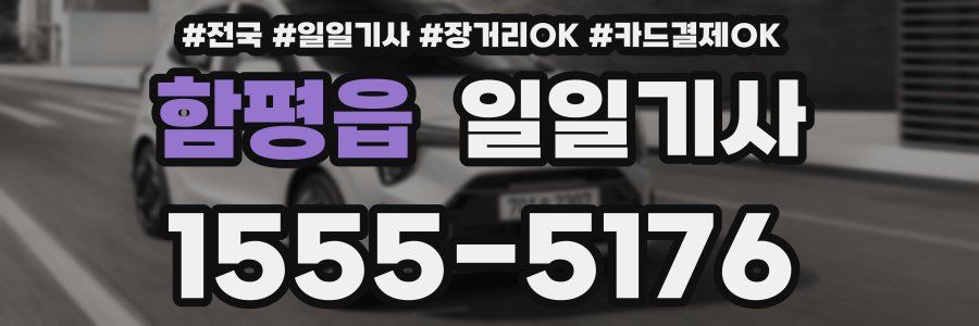 함평읍 일일기사