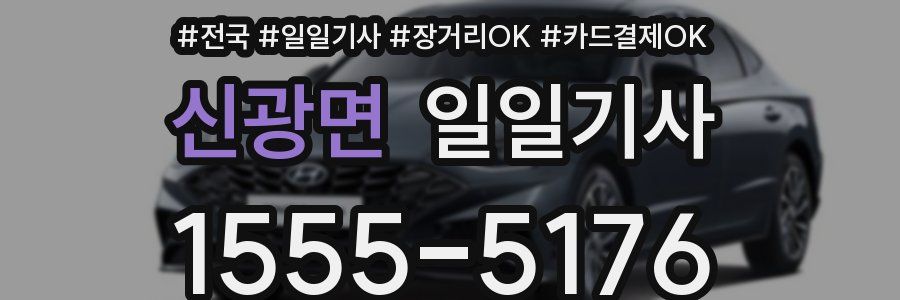 신광면 일일기사