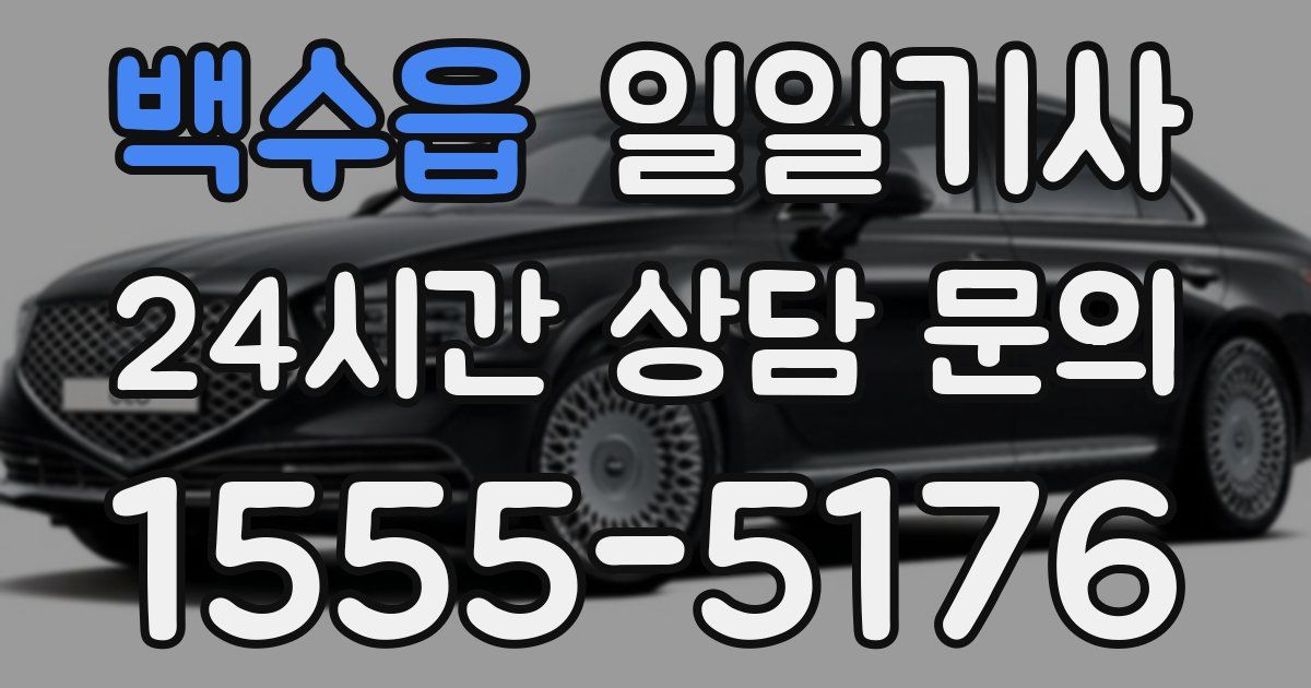 일일대리기사