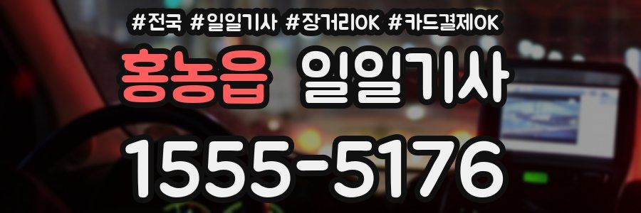 홍농읍 일일기사