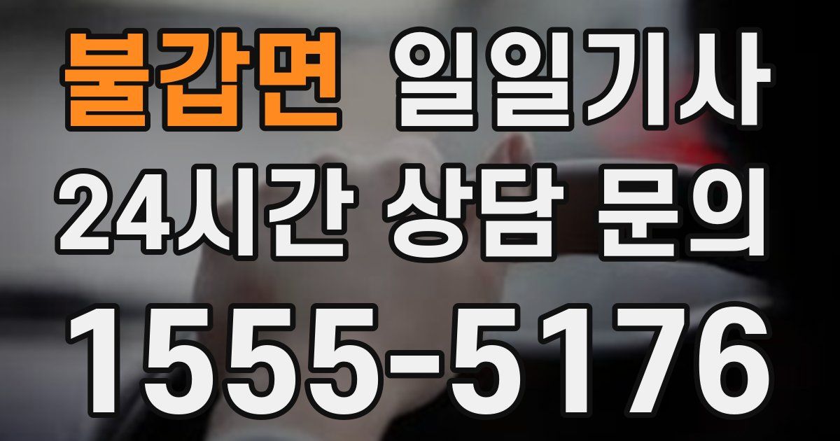 일일대리기사