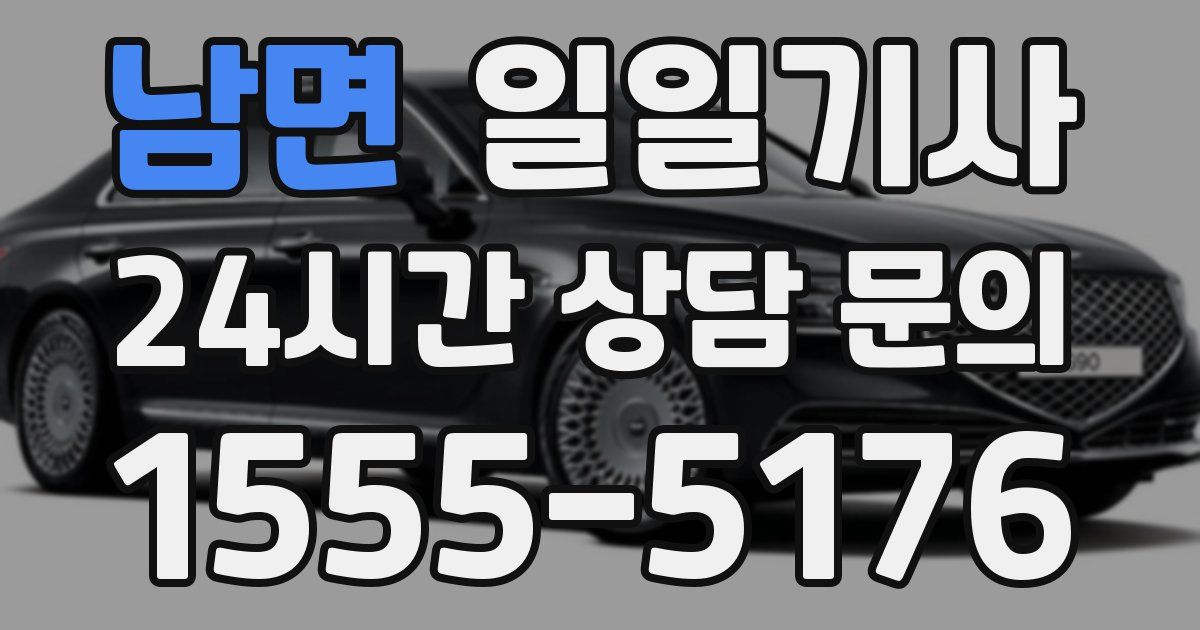 일일대리기사