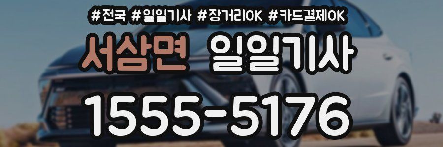 서삼면 일일기사