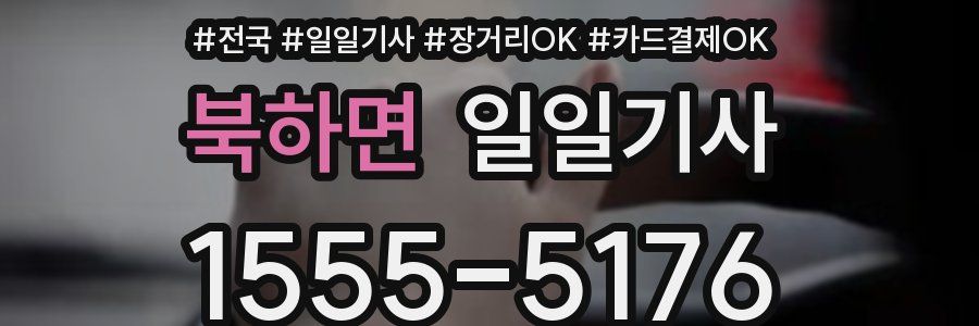 북하면 일일기사