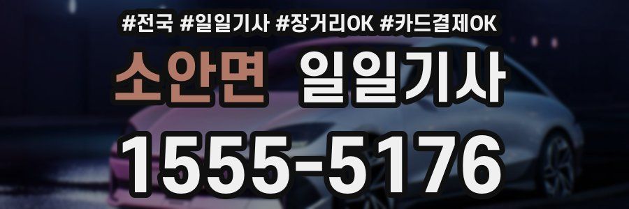 소안면 일일기사