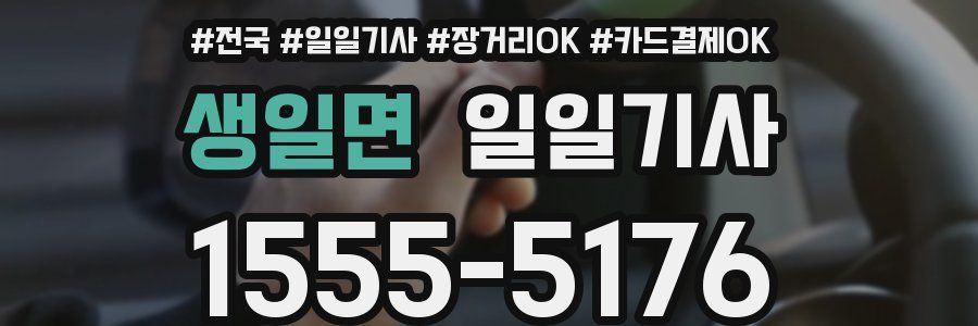 생일면 일일기사