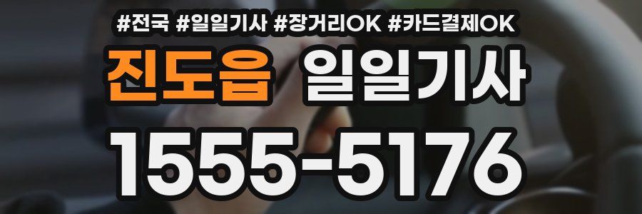 진도읍 일일기사