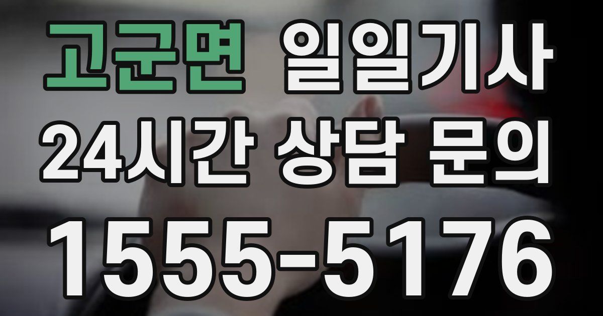 일일대리기사