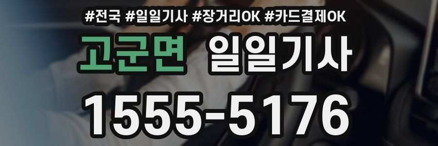 고군면 일일기사