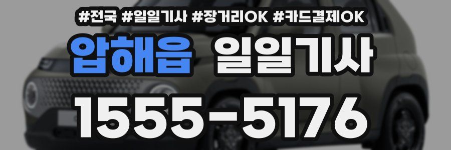 압해읍 일일기사