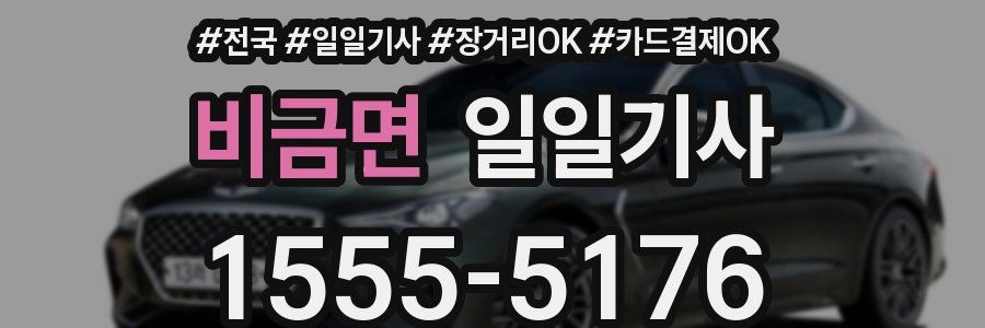 비금면 일일기사