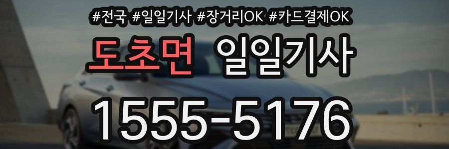 도초면 일일기사