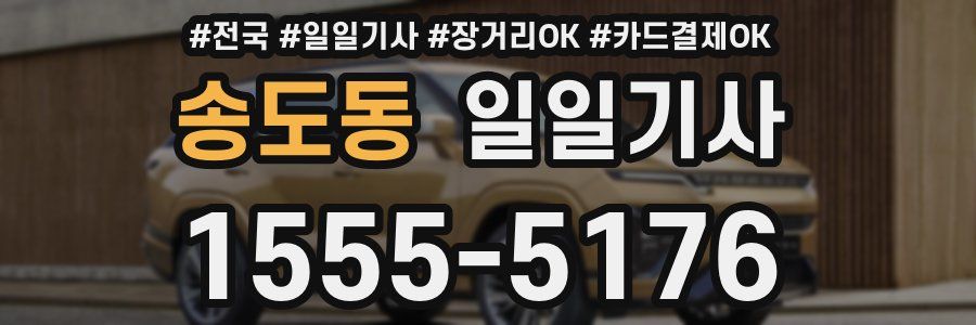 송도동 일일기사