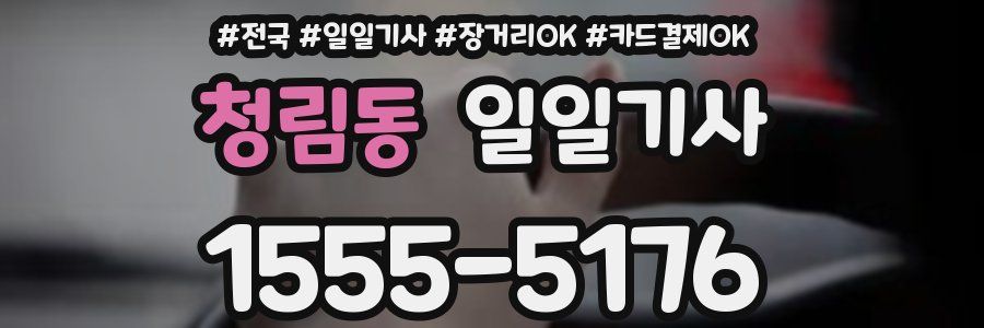 청림동 일일기사