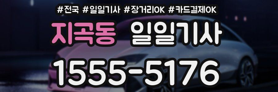 지곡동 일일기사