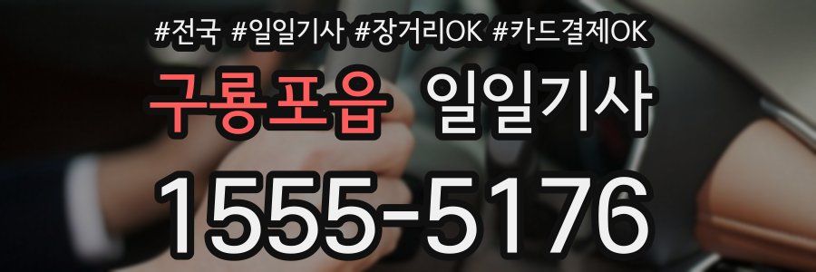 구룡포읍 일일기사