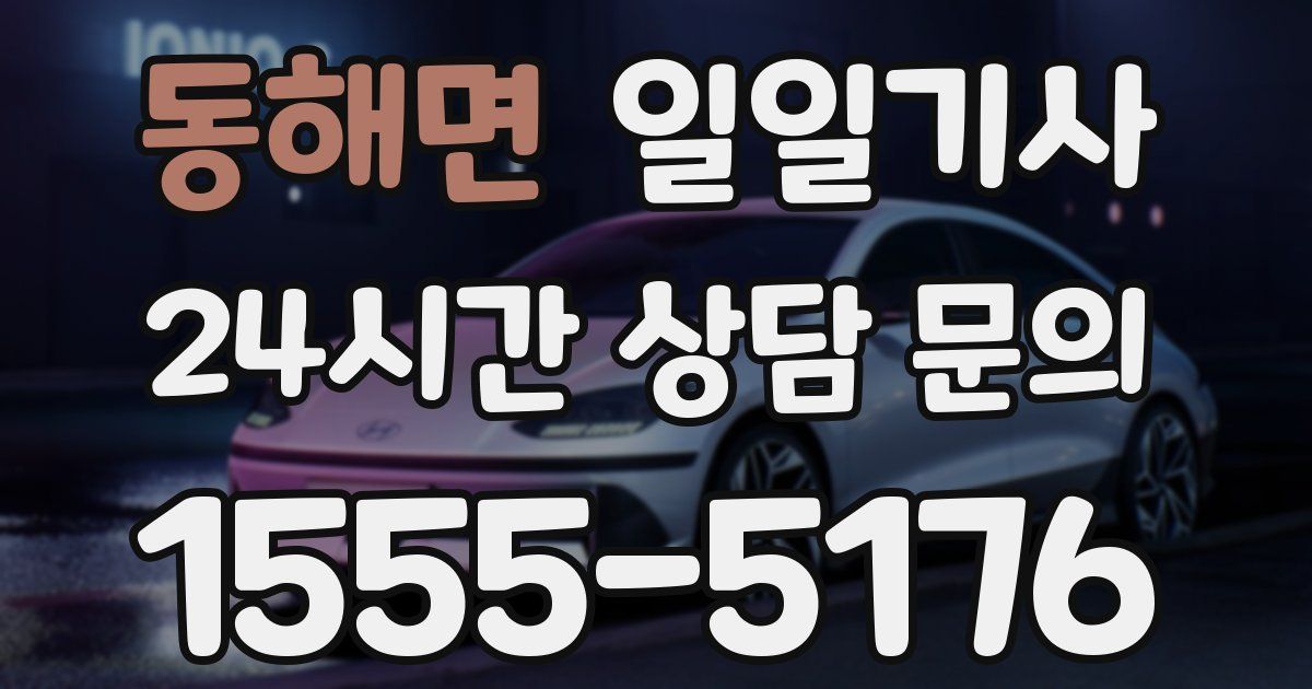 일일대리기사