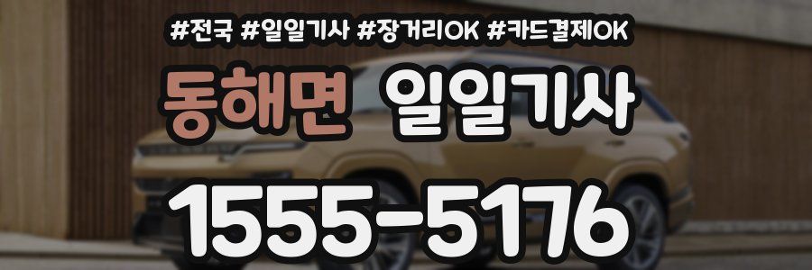 동해면 일일기사
