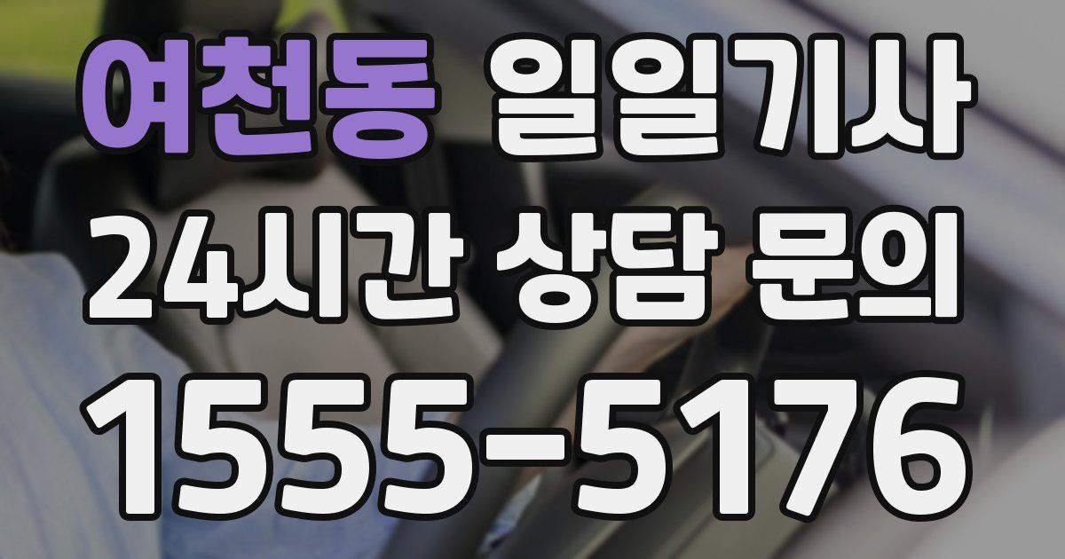 일일대리기사