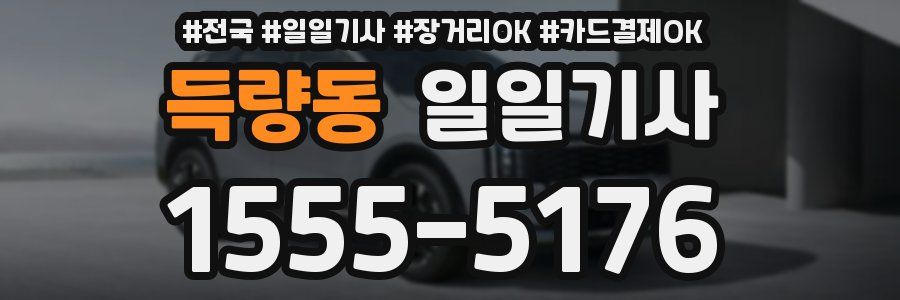득량동 일일기사