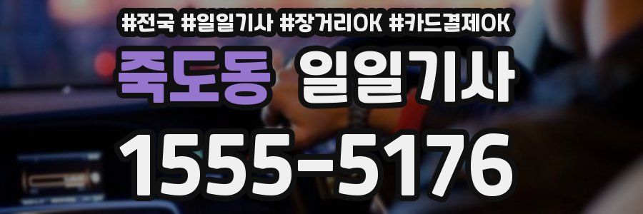 죽도동 일일기사