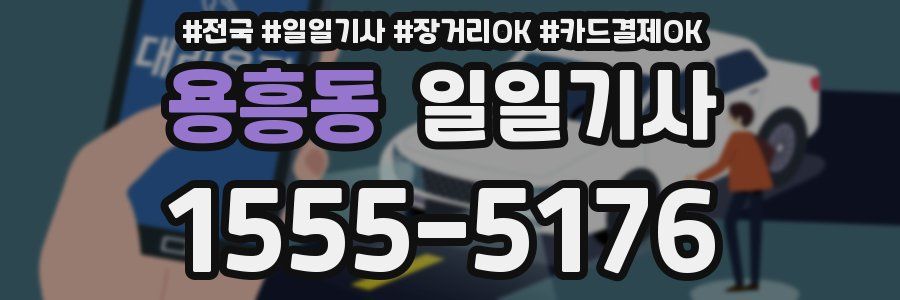 용흥동 일일기사