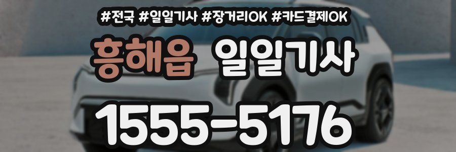 흥해읍 일일기사